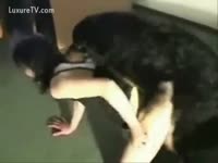 A zoophilia collection
